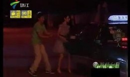 喜爱1夜蒲在线观看,深度解析喜爱1夜蒲在线观看体验